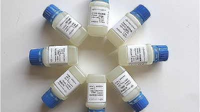 關(guān)于海水中防閃銹劑對不銹鋼的保護(hù)