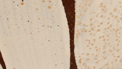 談?wù)勊酝苛戏篱W銹