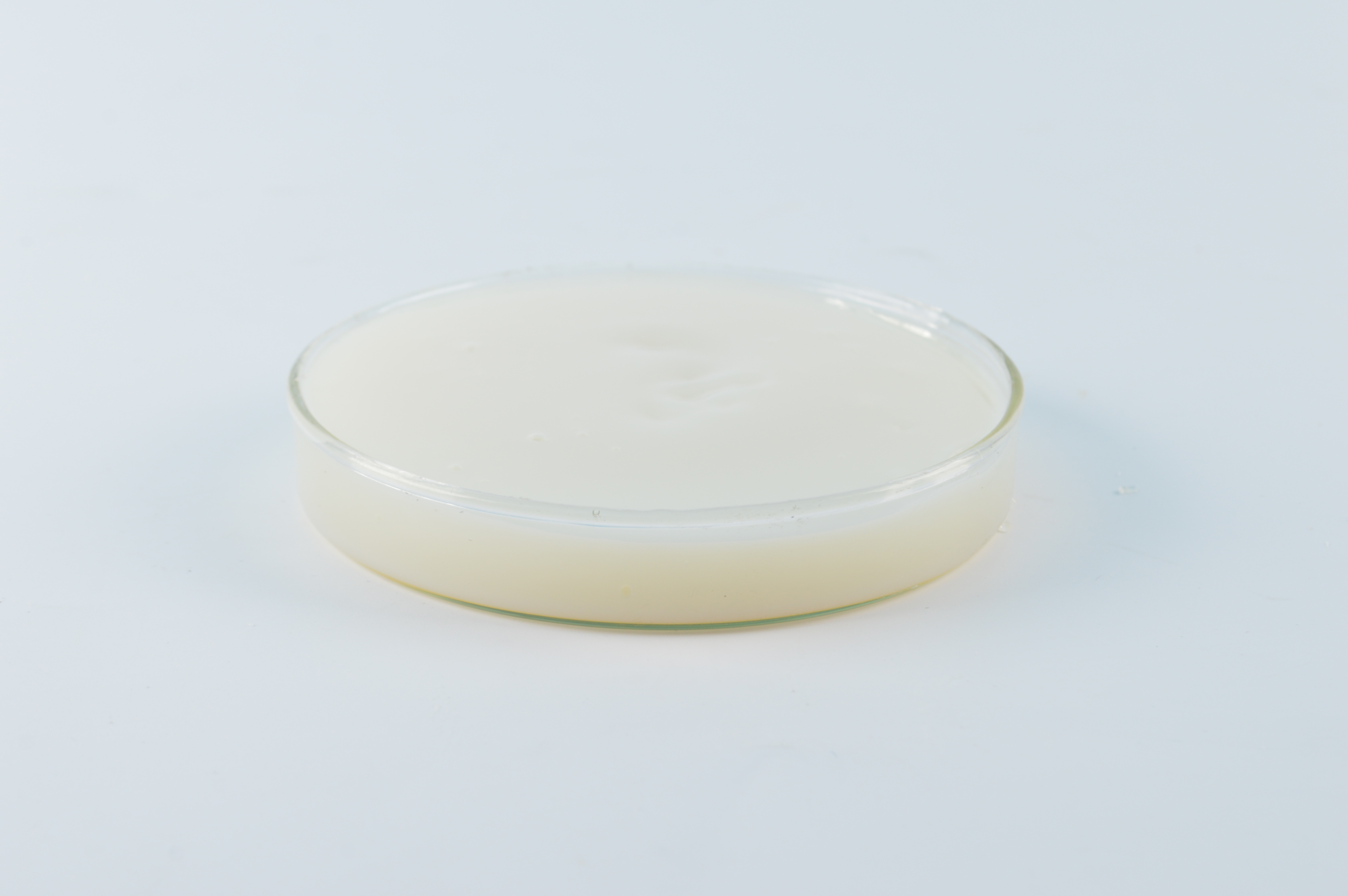 恩澤化工基礎(chǔ)漆乳液